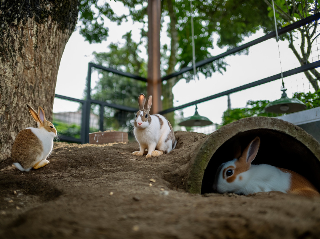 格莱亚佩萨达酒店主图