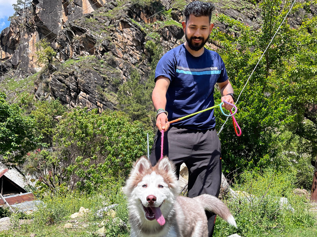 Hotel Mid Orchard Kasol - River Side