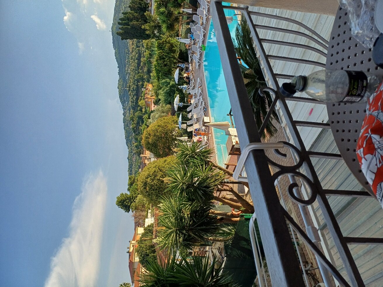 Hotel Delle Mimose-官方