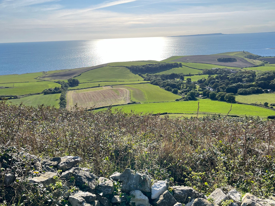Purbeck Safari景点图片