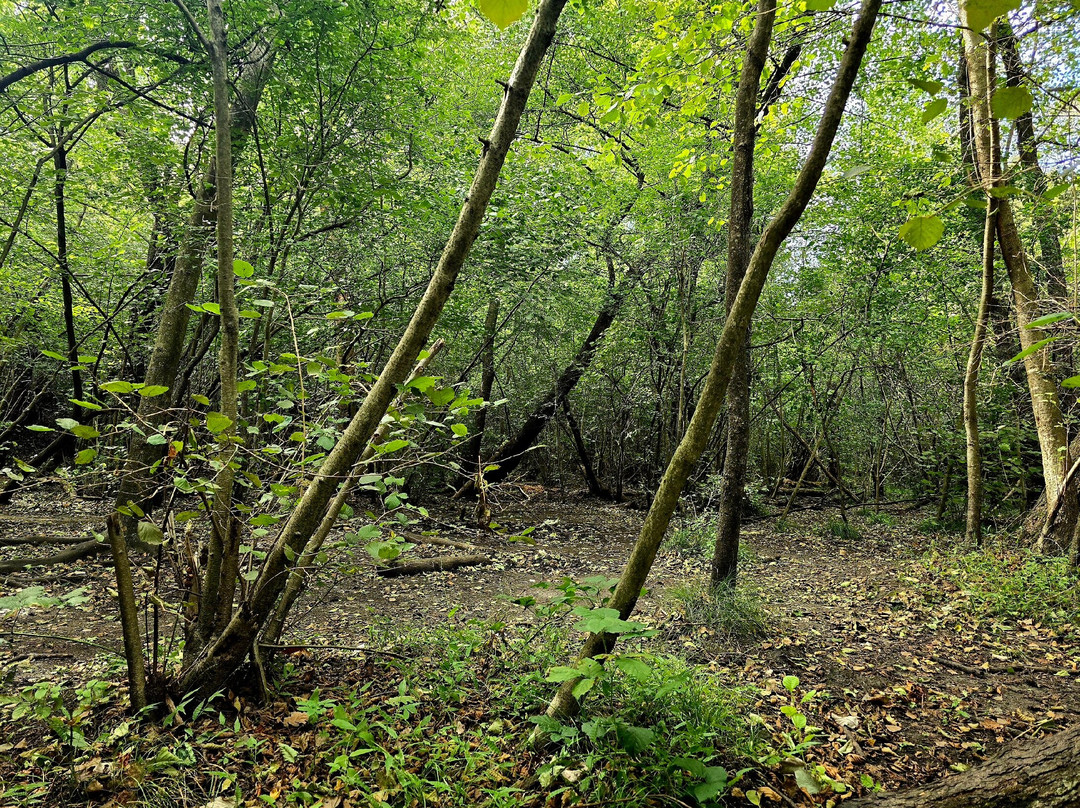 Alla ricerca del Lago Coniglio