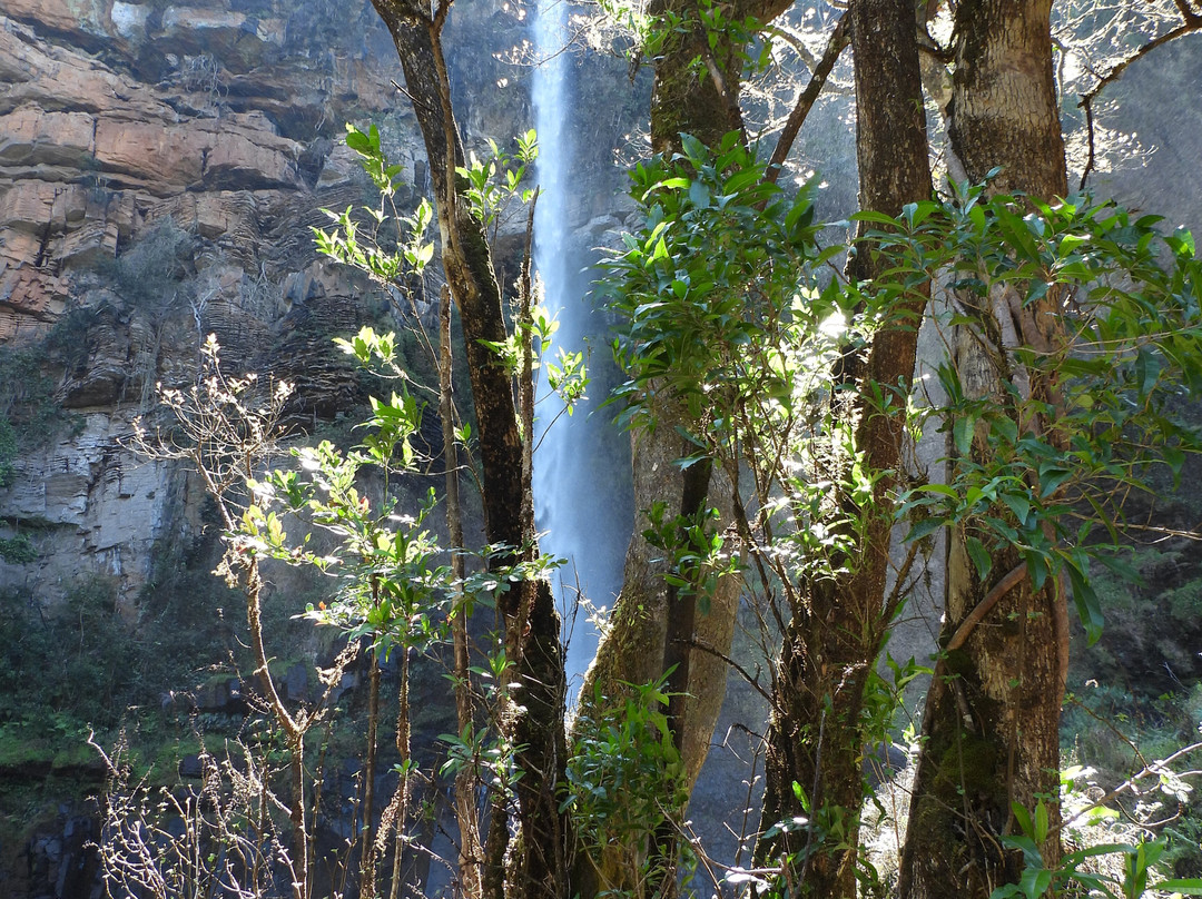 Lone Creek Falls-沙比必去景点