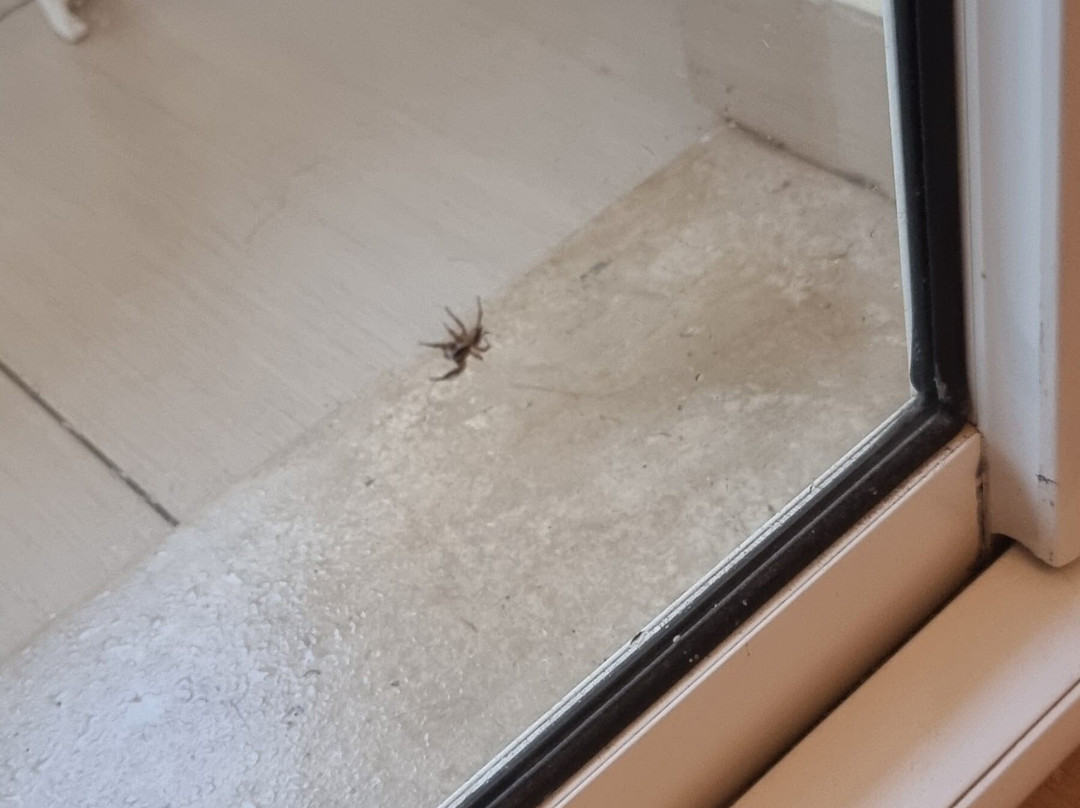 Dar Khayam Hotel主图