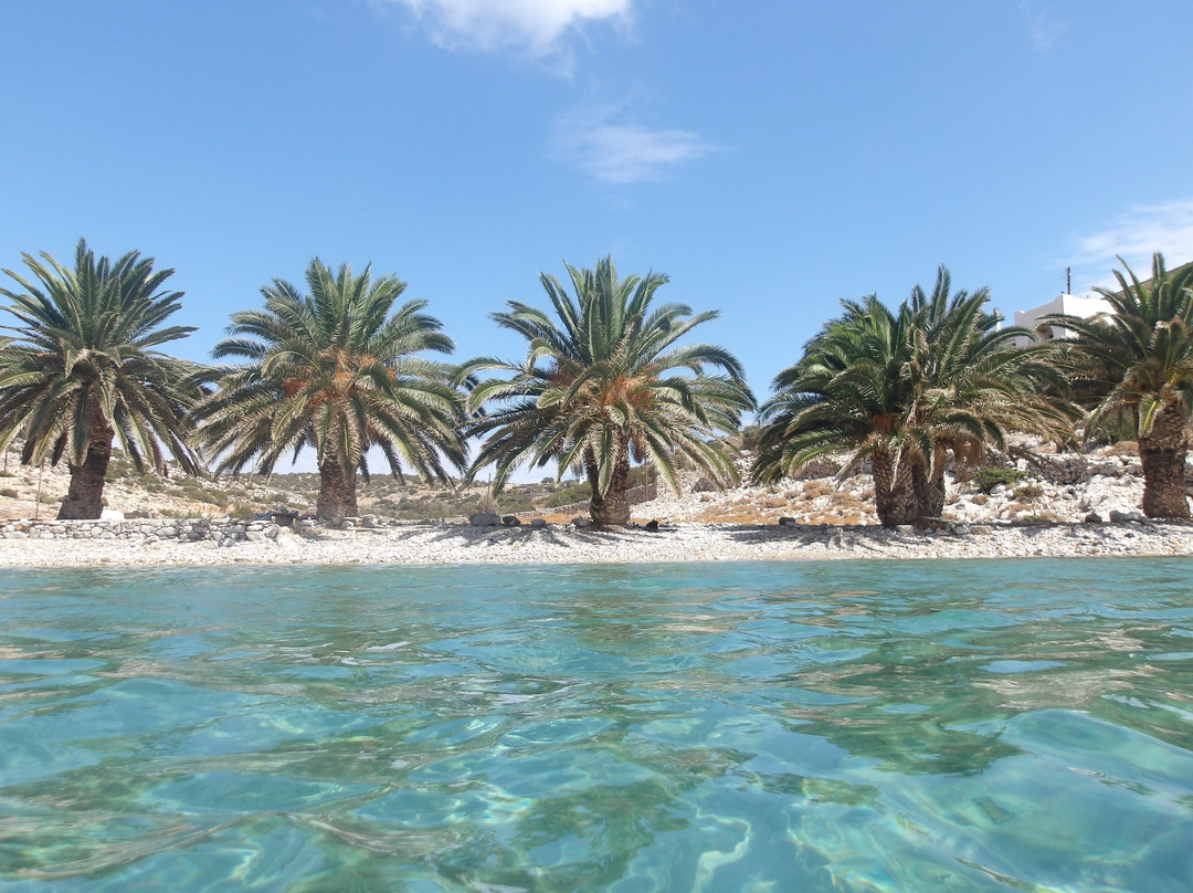 Paralia Panormos景点图片