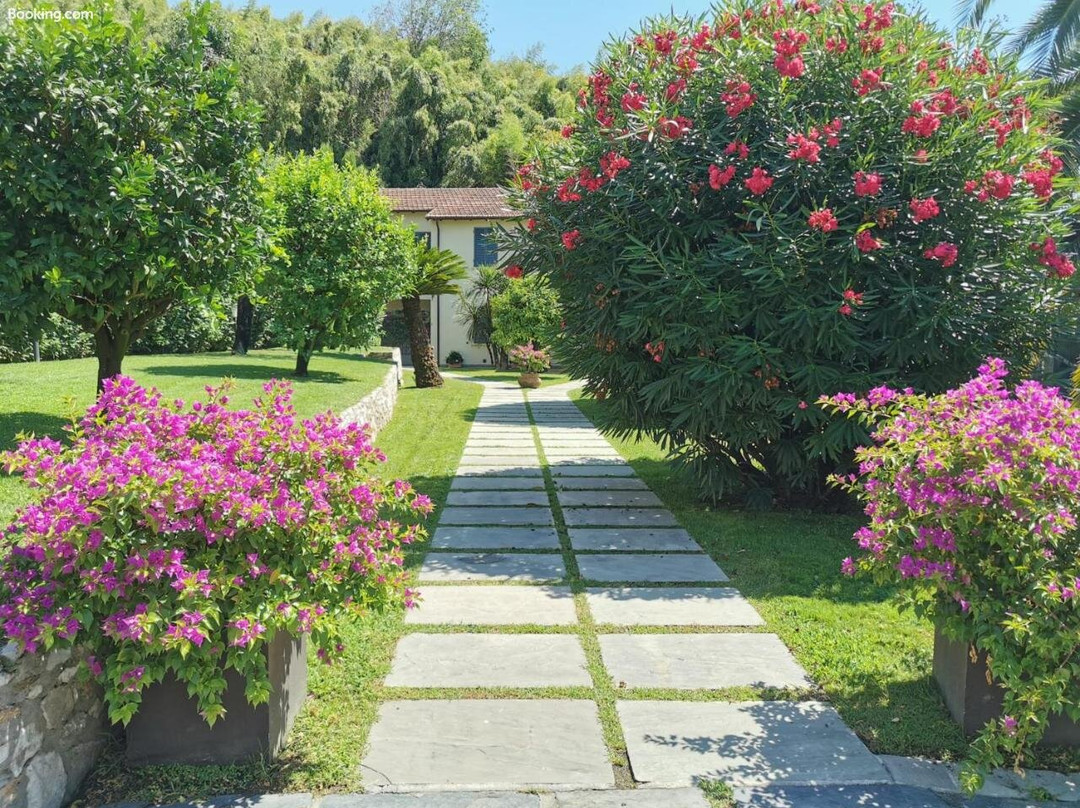 Relais Spazio d'Arte主图