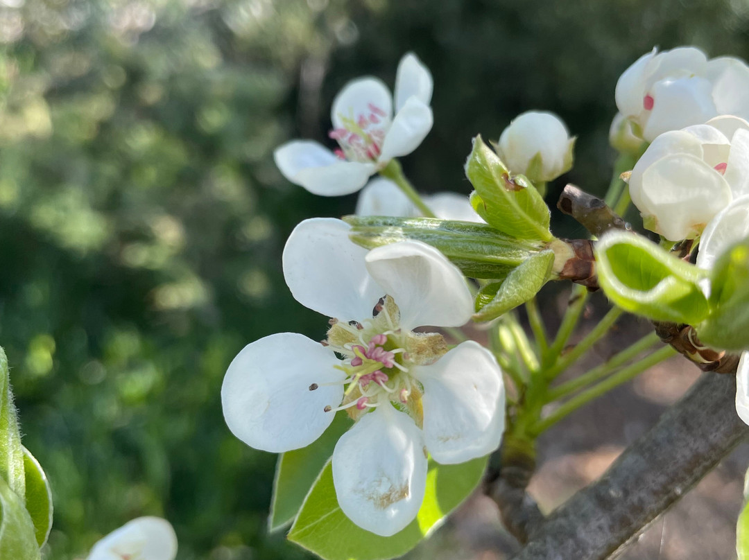 Birch Place Playground-塞尔必去景点