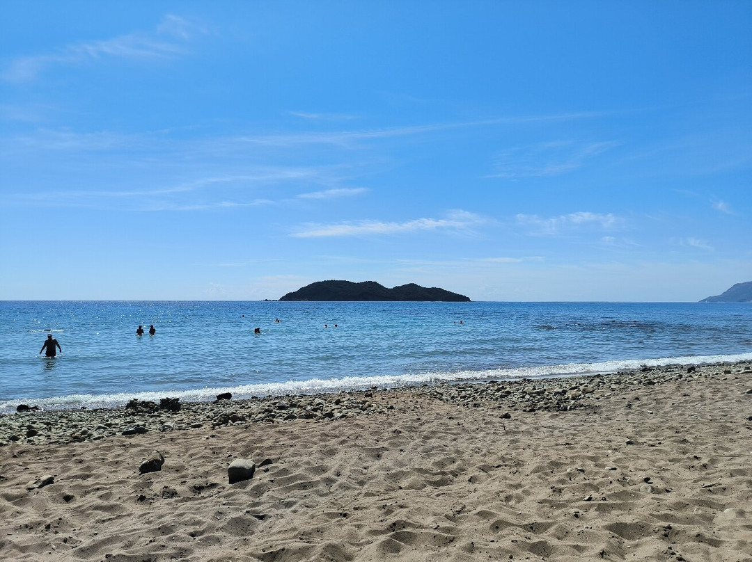 Daphni Nesting Beach景点图片
