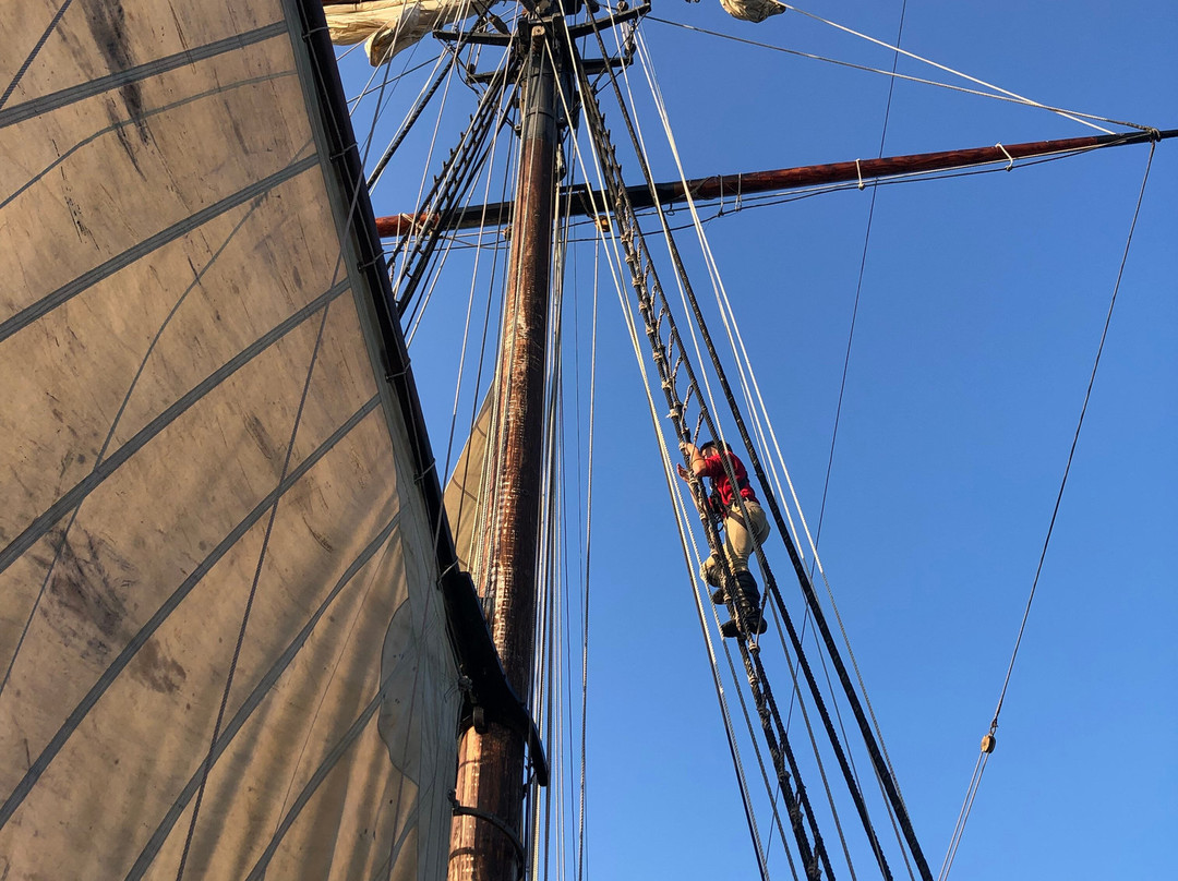 Tall Ship Providence-亚历山德里亚必去景点