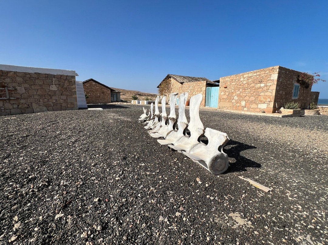 Spinguera Ecolodge主图