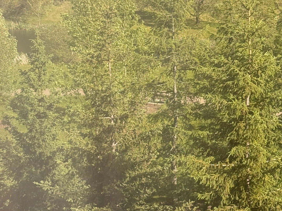 Holiday Inn Express & Suites Spruce Grove - Stony Plain By IHG主图