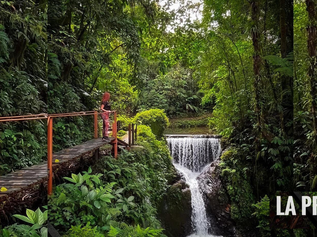 Pozas Y Cascadas La Presa景点图片