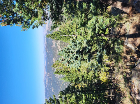 Homewood Suites by Hilton-丹佛国际机场主图