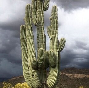 Lake Pleasant Regional Park-Morristown必去景点