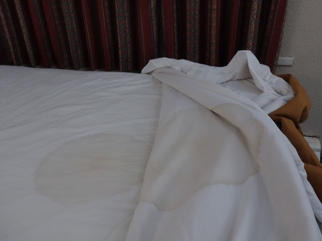 Motel 6 Campbellford主图