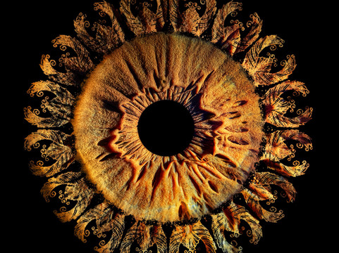 Amazojo Iris Photo Studio-彭萨科拉必去景点