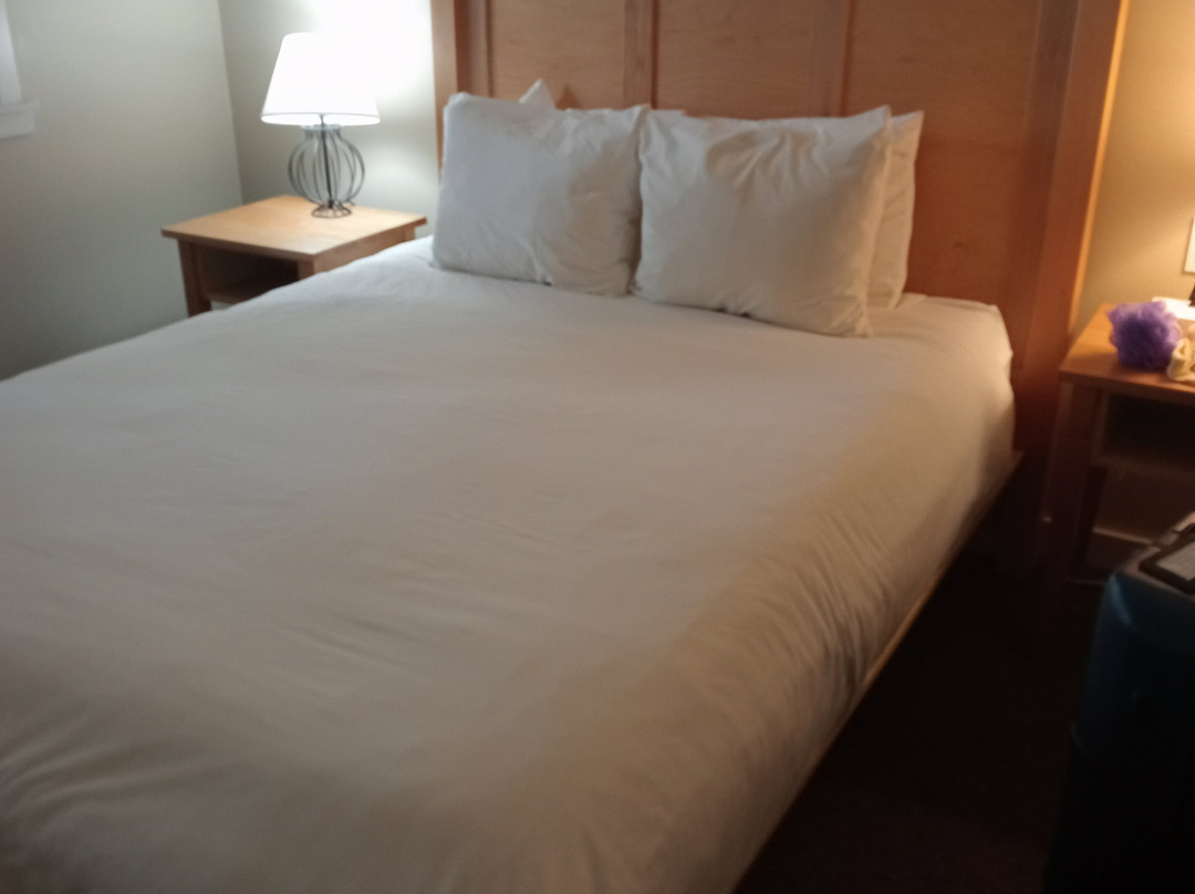 Waters Edge Shoreside Suites主图