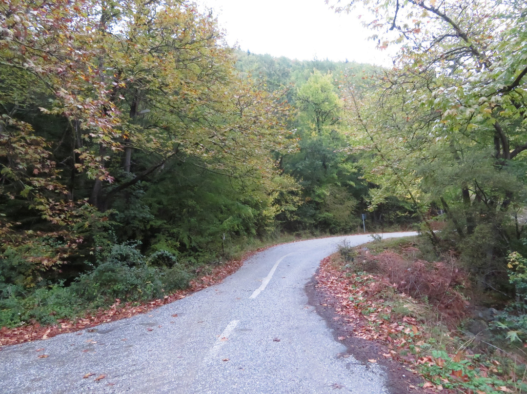 Mantania Tower主图