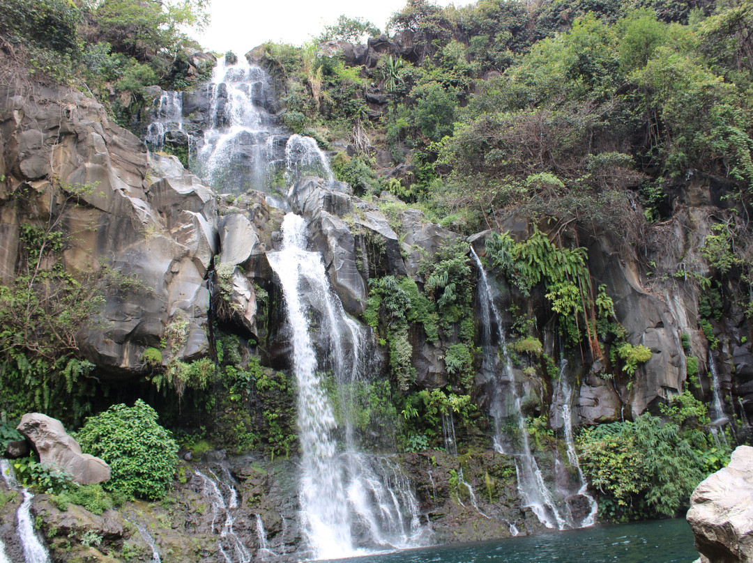 Bassin des Aigrettes景点图片