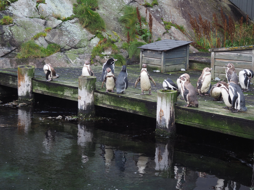 Atlantic Sea Park景点图片