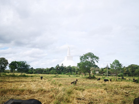Bound To Venture Tours Sri Lanka-苏黎世必去景点