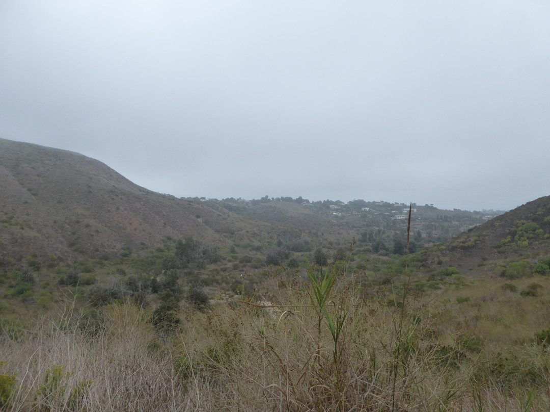Zuma and Trancas Canyons-马里布必去景点