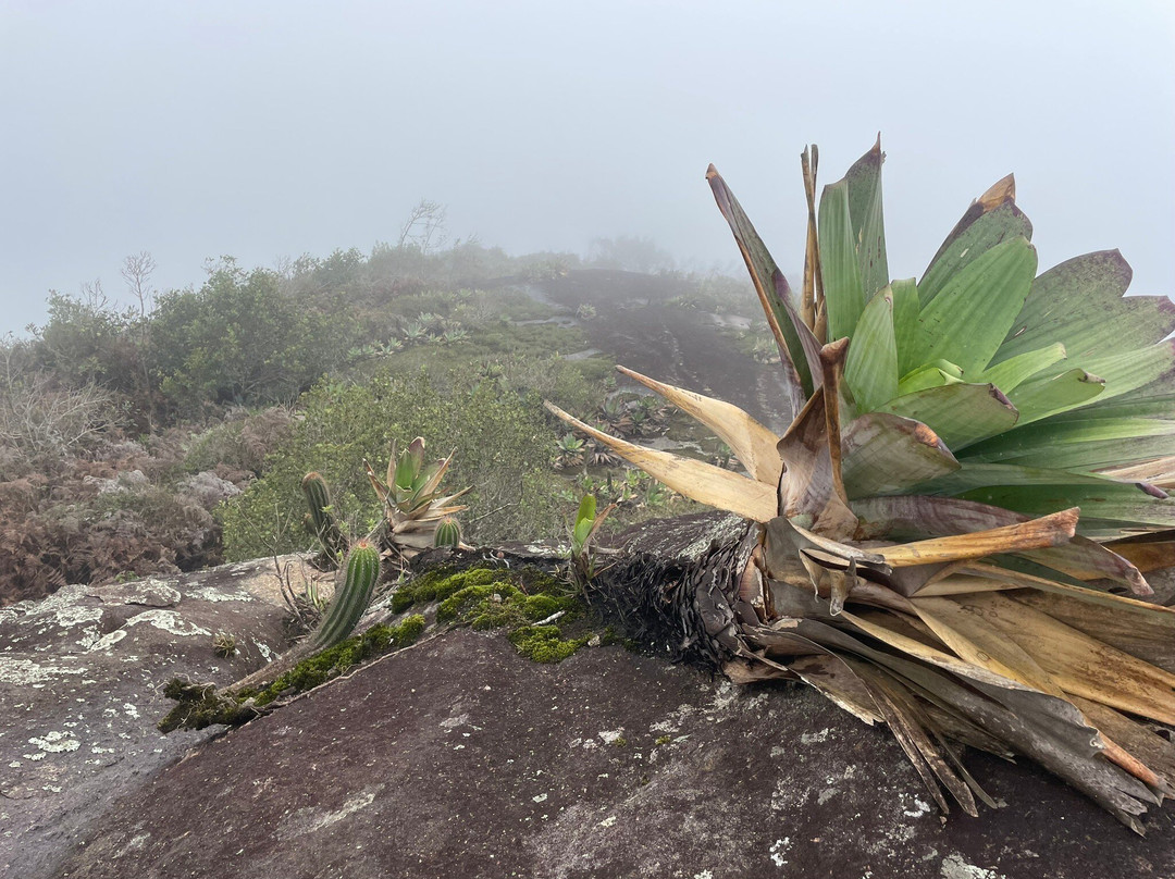 Parque Estadual do Forno Grande景点图片