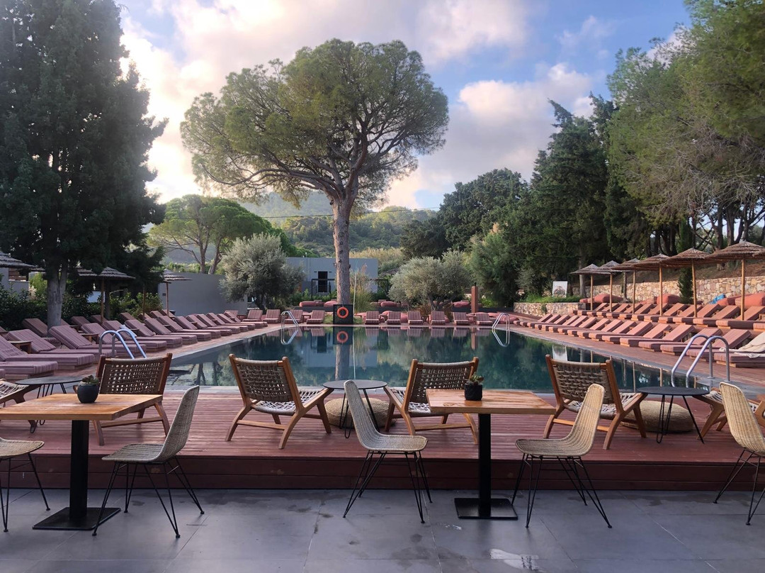 Cook's Club Ialysos Rhodes主图