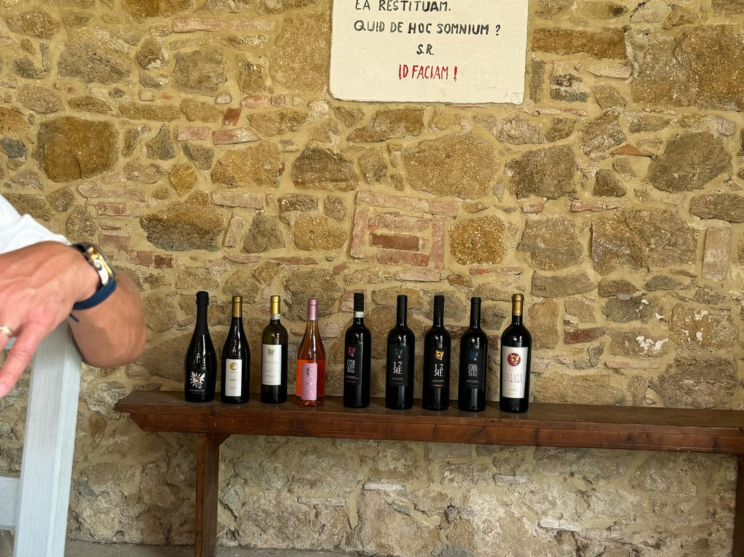 Corbucci Wine Tasting景点图片