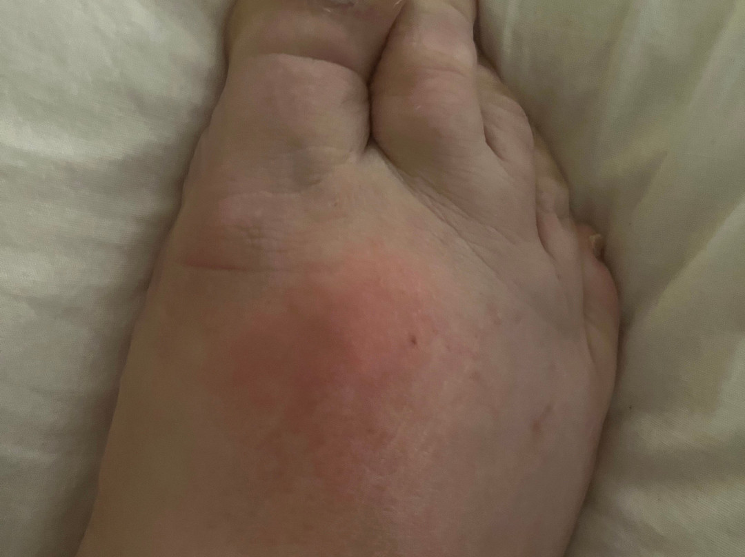 地平线旅馆主图