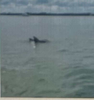 Beaches Water Tours-Saint Augustine Beach必去景点