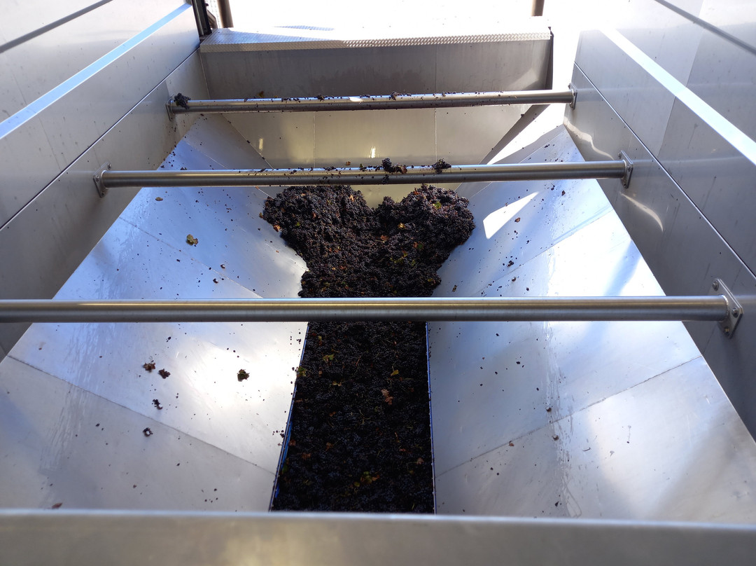 Bodega Hijos de Juan Gil-Jumilla必去景点