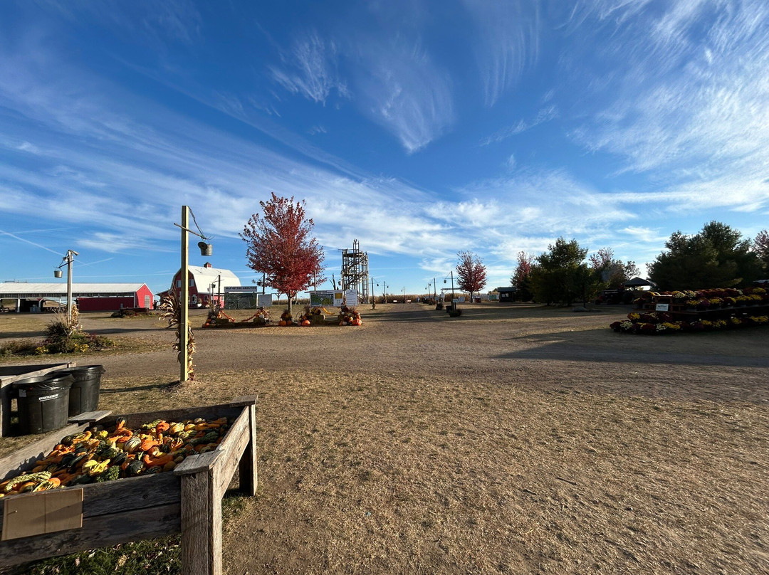 Richardson Adventure Farm