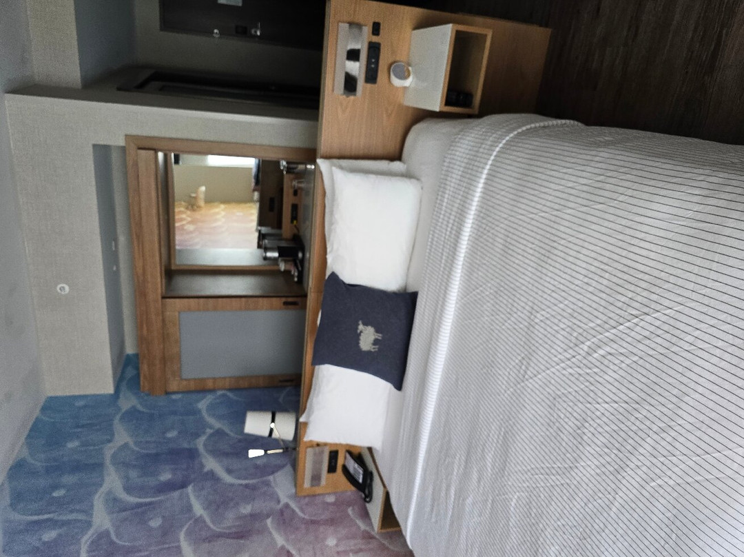 Cambria Hotel Manchester South Windsor主图