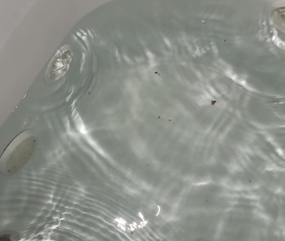 Hampton Inn Jupiter/Juno Beach主图