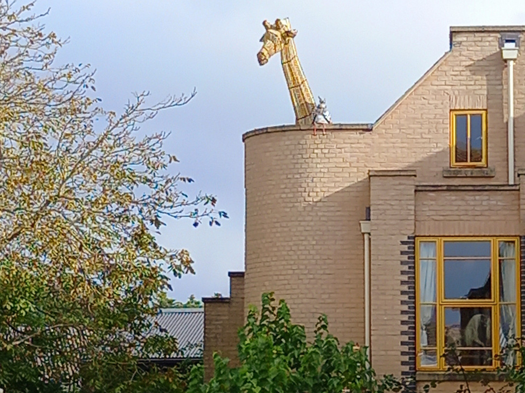 Sarafa the Ely Giraffe景点图片