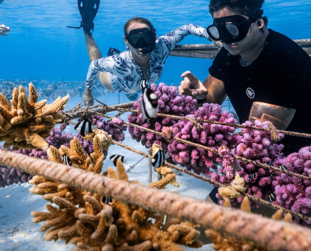 Coral Gardeners Xperience-Paopao必去景点
