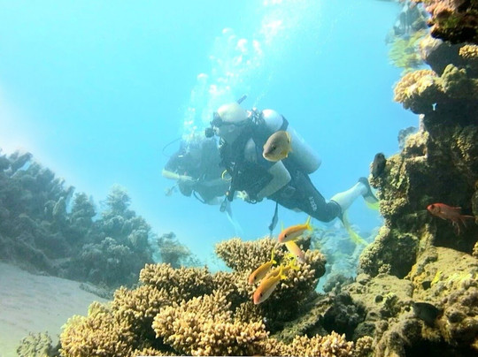 blue planet diving group-沙姆沙伊赫必去景点