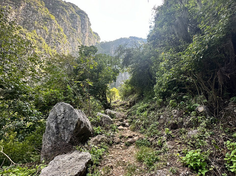 Go Well Tours-瓦哈卡必去景点