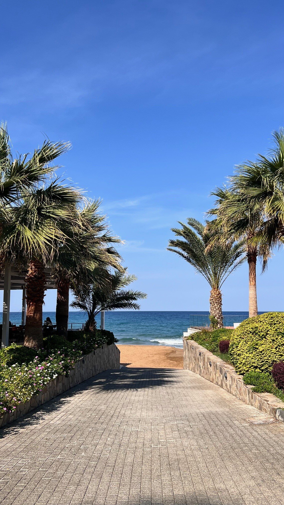 Acapulco Resort Convention Spa & Casino-泳池