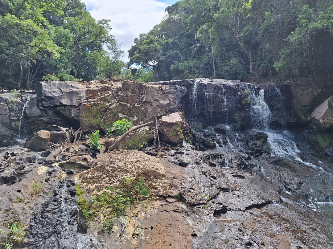 Parque da Cascata景点图片