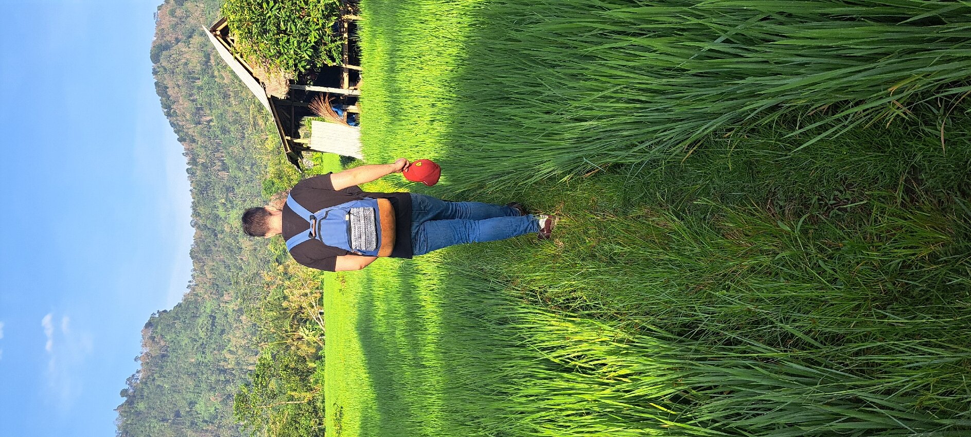 Khrisna Homestay-官方