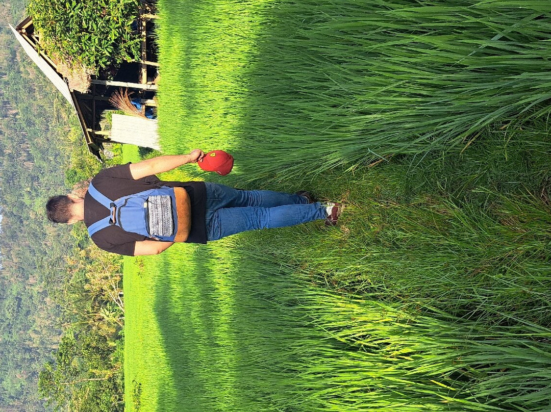 Khrisna Homestay主图