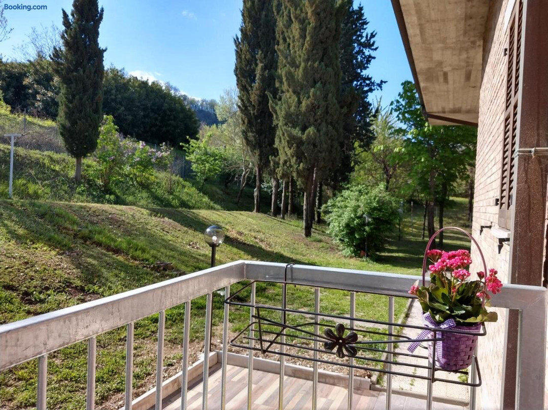 San Lorenzo in Campo酒店住宿-B&B Il Torchio-Urbino