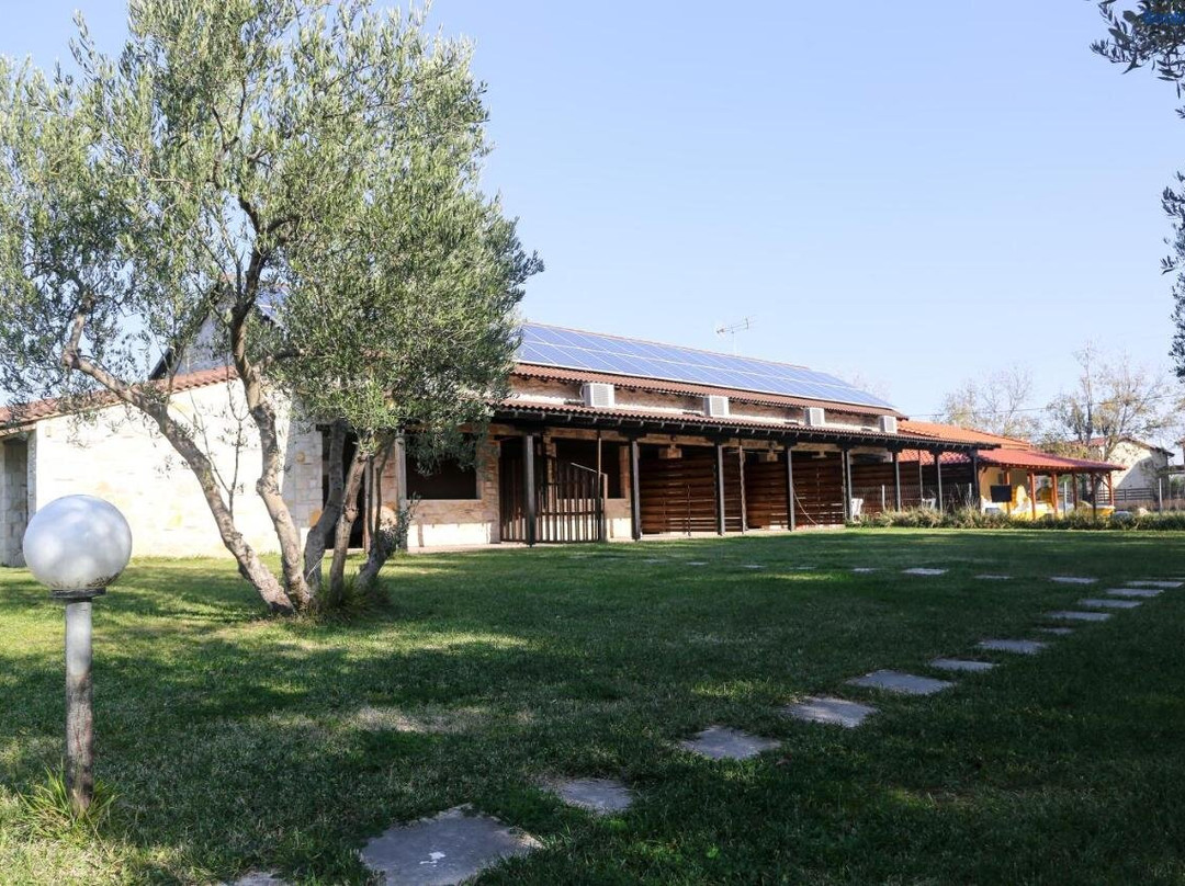 Gioulis Apartments & Studios