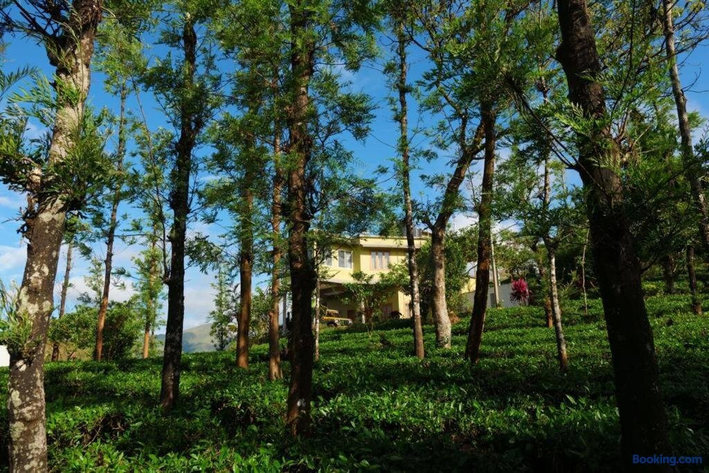 The Forest Resort - Muneeswaramudi Eco Hermitage and Farms