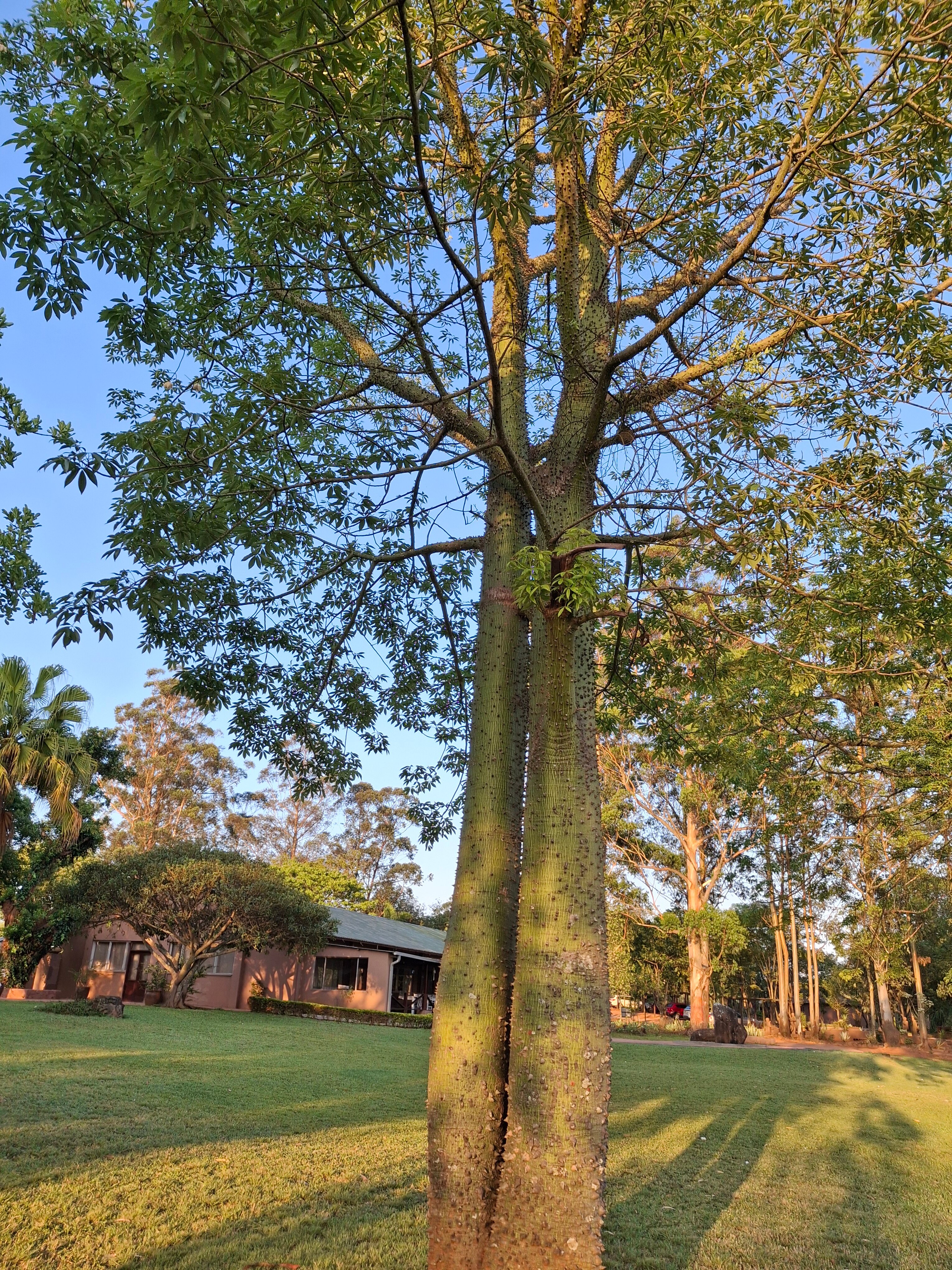 Shiluvari Lakeside Lodge-官方