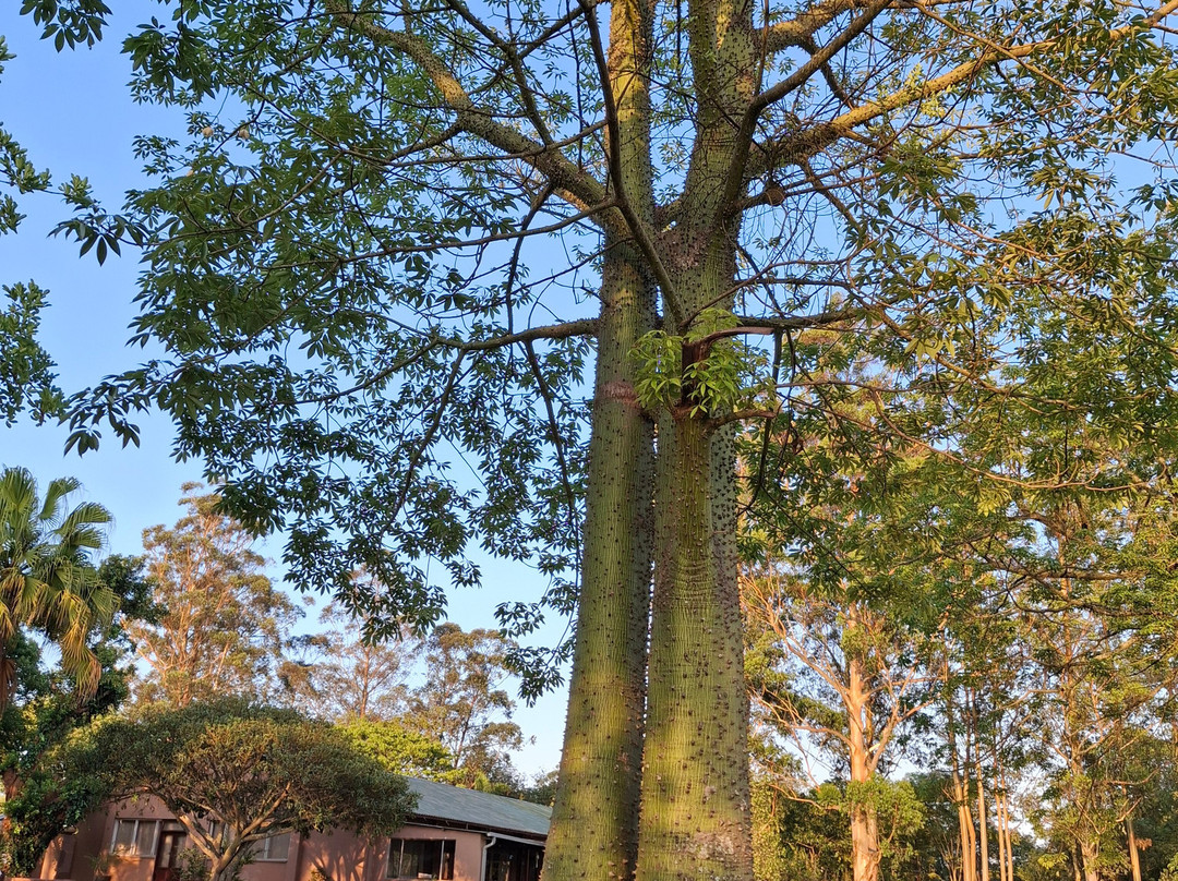 Shiluvari Lakeside Lodge主图