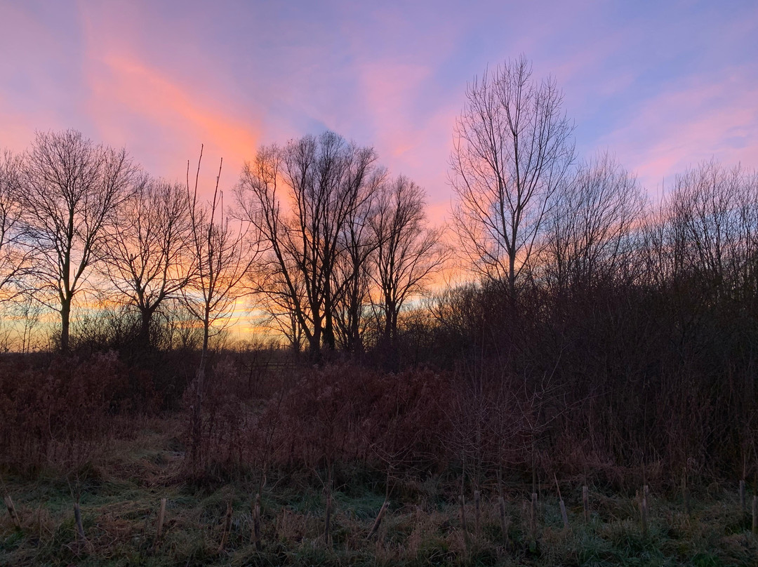 Ferry Meadows in Nene Park景点图片