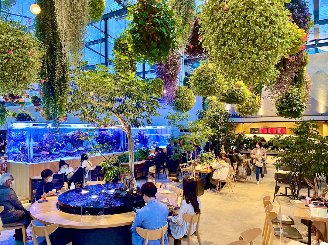 Hana Biyori-稻城市必去景点