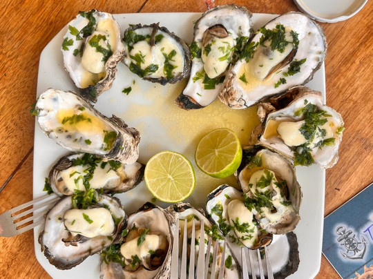 Ilha das Pecas-Guaraquecaba必去景点